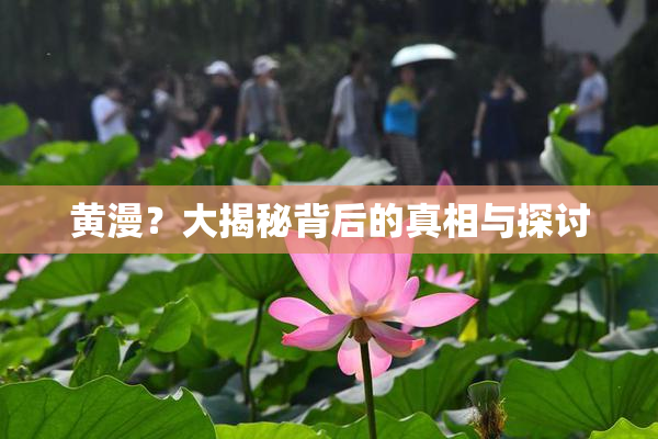 黄漫？大揭秘背后的真相与探讨