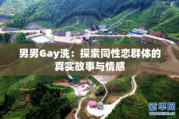 男男Gay洗：探索同性恋群体的真实故事与情感