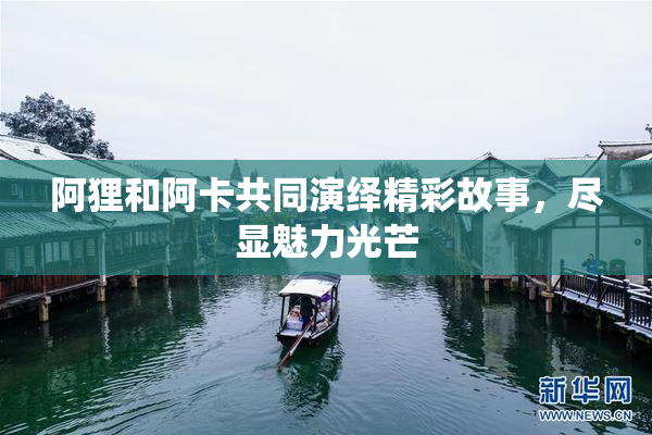阿狸和阿卡共同演绎精彩故事，尽显魅力光芒
