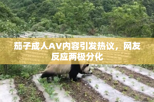 茄子成人AV内容引发热议，网友反应两极分化