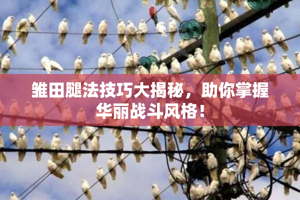 雏田腿法技巧大揭秘，助你掌握华丽战斗风格！