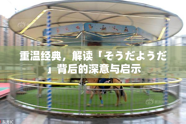 重温经典，解读「そうだようだ」背后的深意与启示