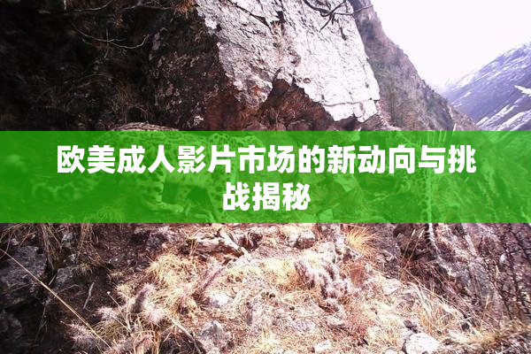 欧美成人影片市场的新动向与挑战揭秘