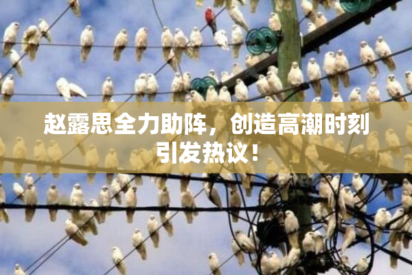 赵露思全力助阵，创造高潮时刻引发热议！