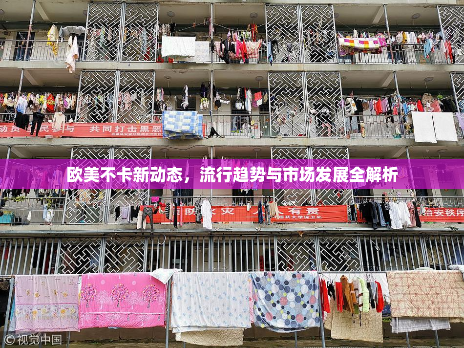 欧美不卡新动态，流行趋势与市场发展全解析