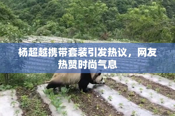 杨超越携带套装引发热议，网友热赞时尚气息