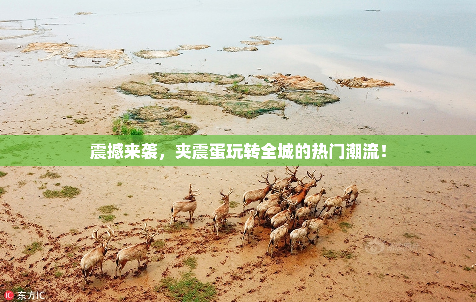 震撼来袭，夹震蛋玩转全城的热门潮流！