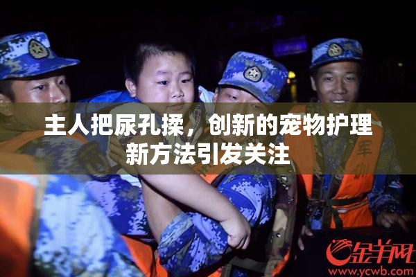 主人把尿孔揉，创新的宠物护理新方法引发关注