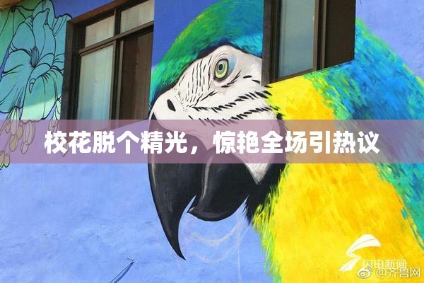 校花脱个精光，惊艳全场引热议