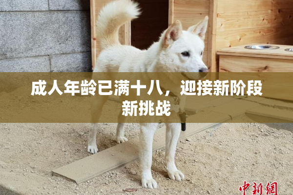 成人年龄已满十八，迎接新阶段新挑战