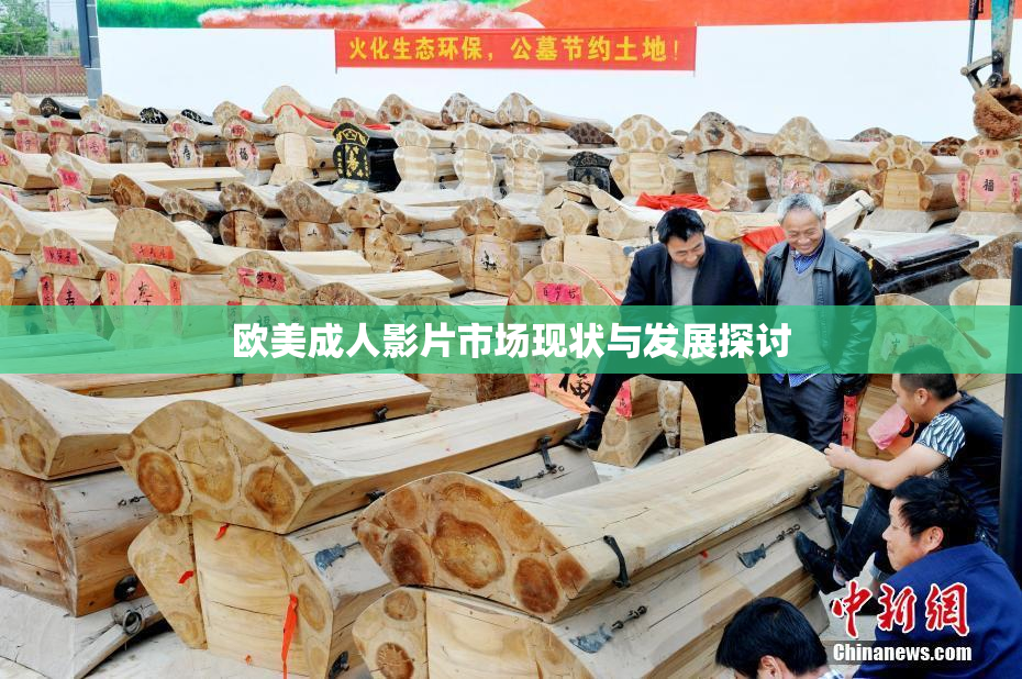 欧美成人影片市场现状与发展探讨