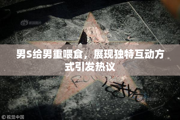 男S给男重喂食，展现独特互动方式引发热议