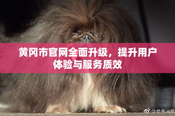 黄冈市官网全面升级，提升用户体验与服务质效