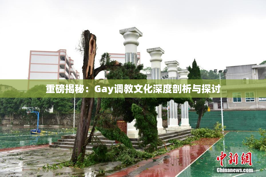 重磅揭秘：Gay调教文化深度剖析与探讨