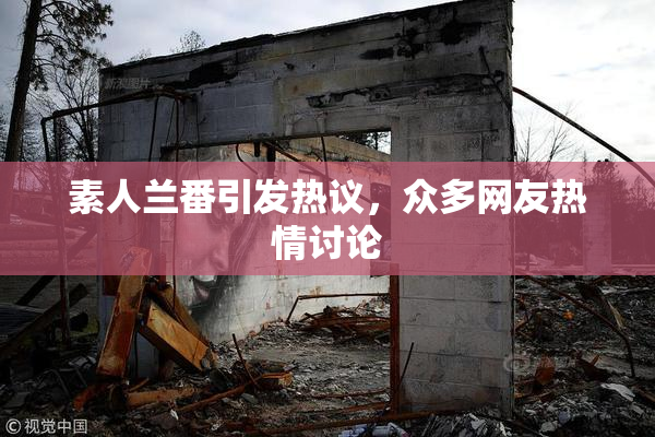 素人兰番引发热议，众多网友热情讨论