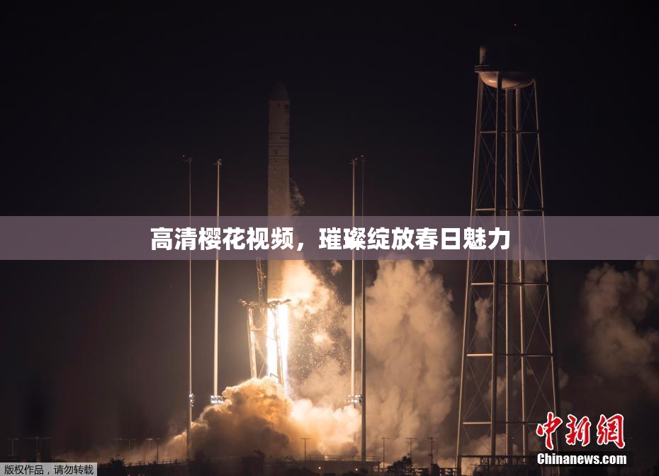 高清樱花视频，璀璨绽放春日魅力