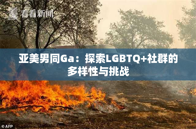 亚美男同Ga：探索LGBTQ+社群的多样性与挑战