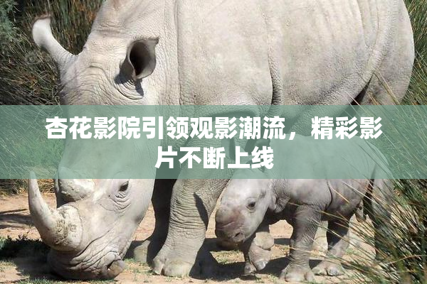 杏花影院引领观影潮流，精彩影片不断上线