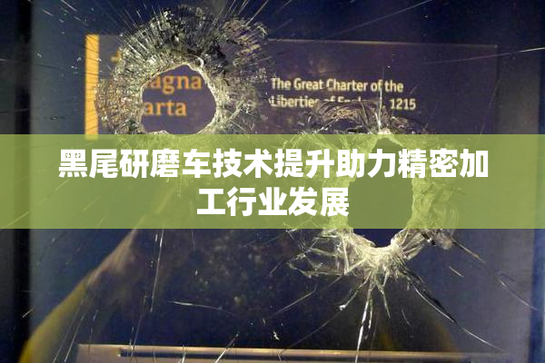 黑尾研磨车技术提升助力精密加工行业发展