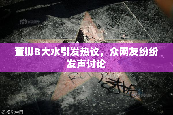 董卿B大水引发热议，众网友纷纷发声讨论
