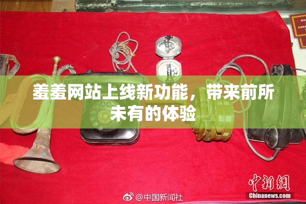 羞羞网站上线新功能，带来前所未有的体验