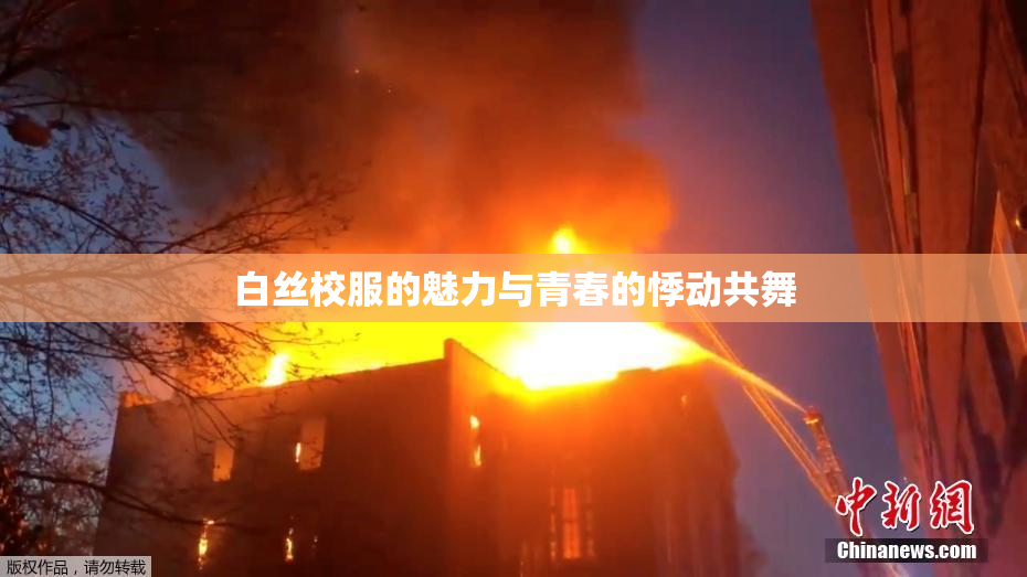白丝校服的魅力与青春的悸动共舞