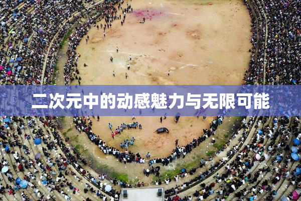 二次元中的动感魅力与无限可能