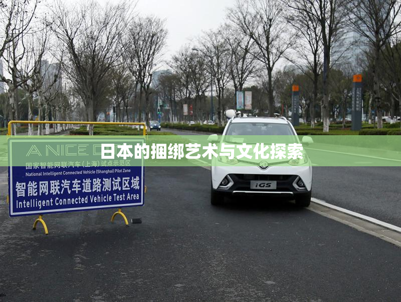 日本的捆绑艺术与文化探索