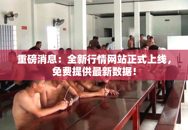 重磅消息：全新行情网站正式上线，免费提供最新数据！