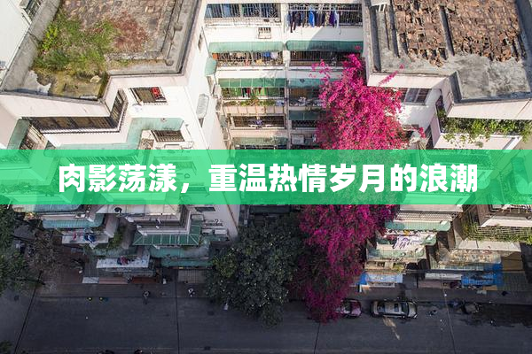 肉影荡漾，重温热情岁月的浪潮