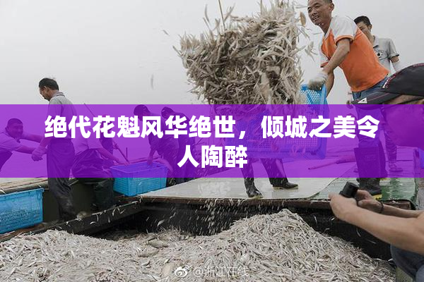 绝代花魁风华绝世，倾城之美令人陶醉