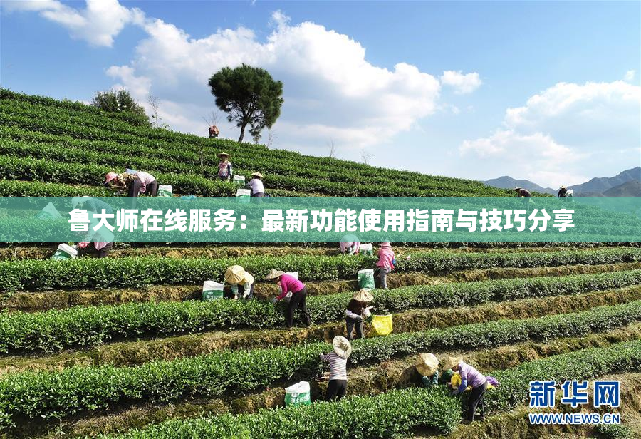 鲁大师在线服务：最新功能使用指南与技巧分享