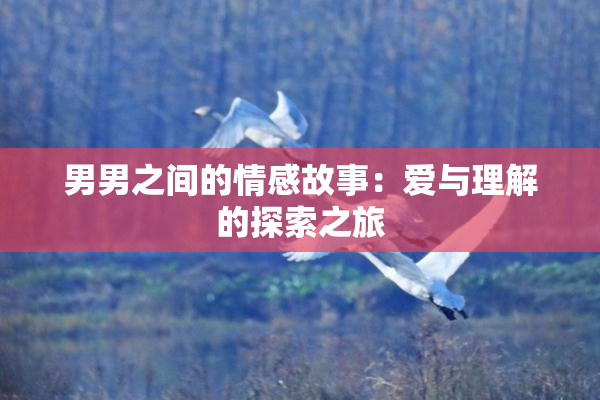 男男之间的情感故事：爱与理解的探索之旅