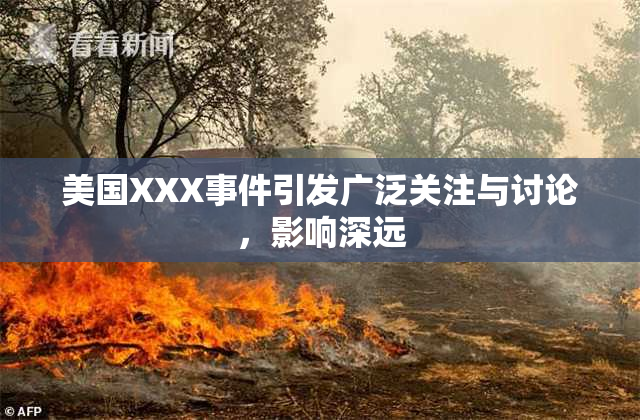 美国XXX事件引发广泛关注与讨论，影响深远