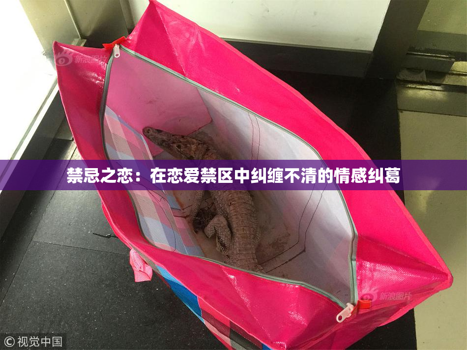 禁忌之恋：在恋爱禁区中纠缠不清的情感纠葛