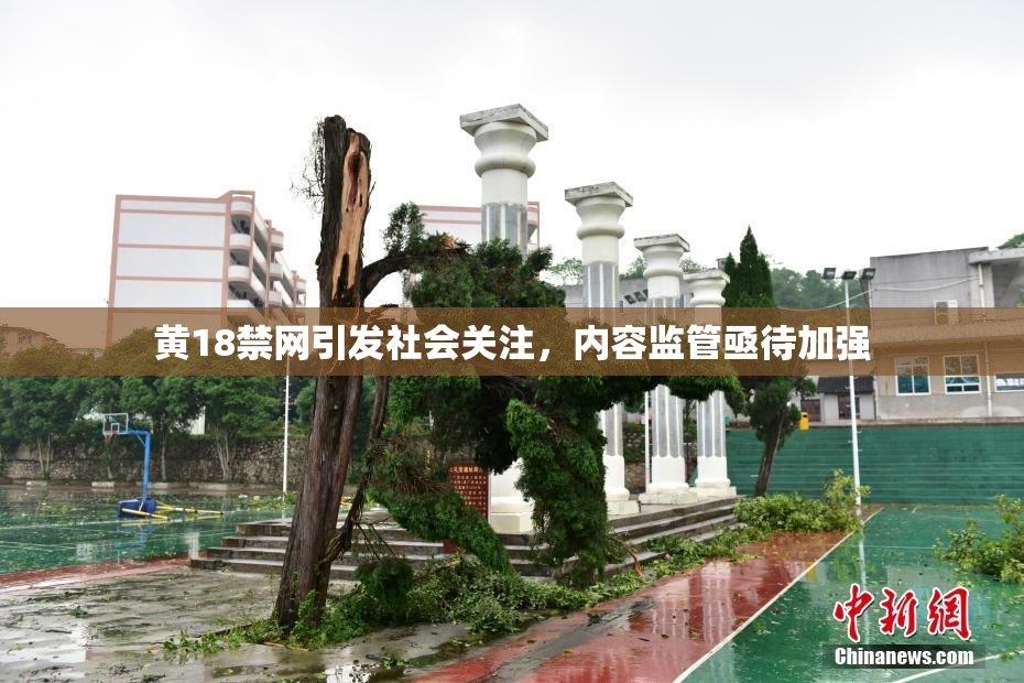 黄18禁网引发社会关注，内容监管亟待加强