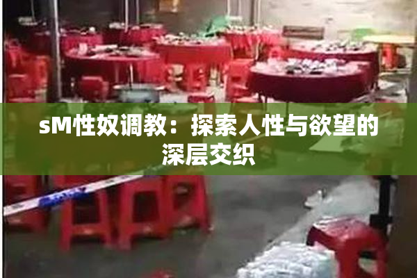 sM性奴调教：探索人性与欲望的深层交织