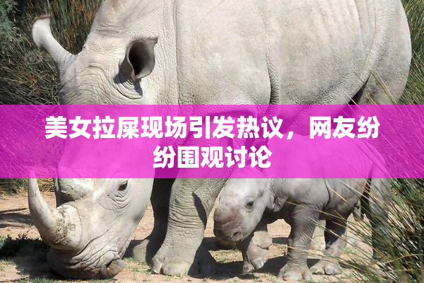 美女拉屎现场引发热议，网友纷纷围观讨论