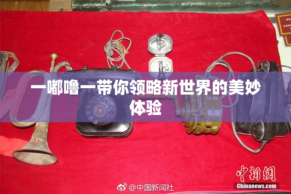 一嘟噜一带你领略新世界的美妙体验