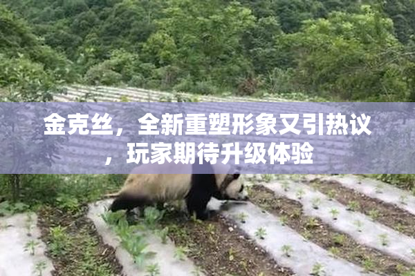 金克丝，全新重塑形象又引热议，玩家期待升级体验