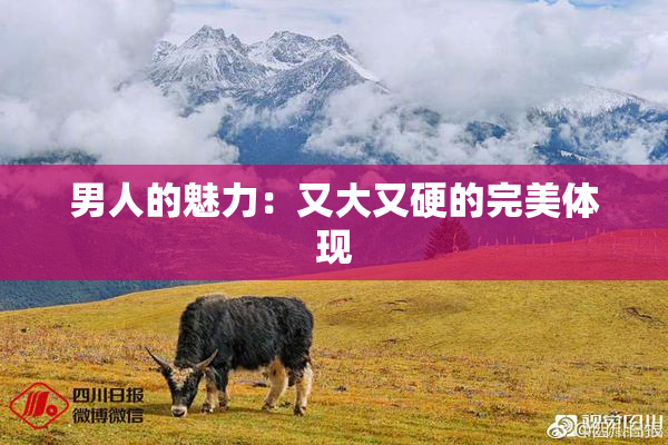 男人的魅力：又大又硬的完美体现