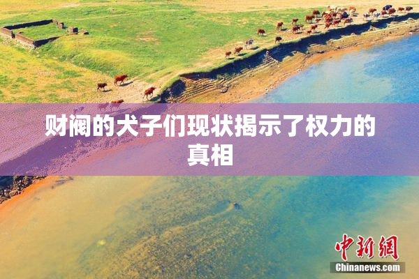 财阀的犬子们现状揭示了权力的真相