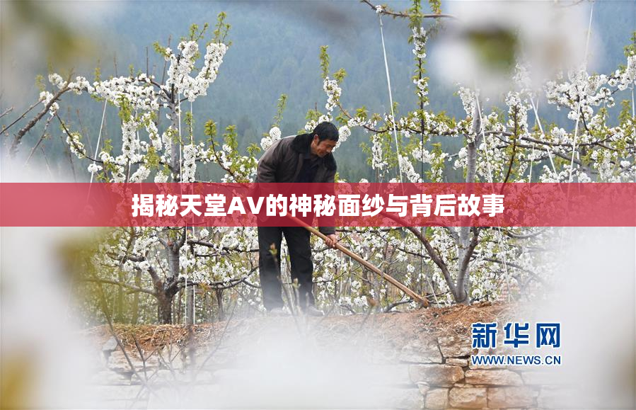 揭秘天堂AV的神秘面纱与背后故事