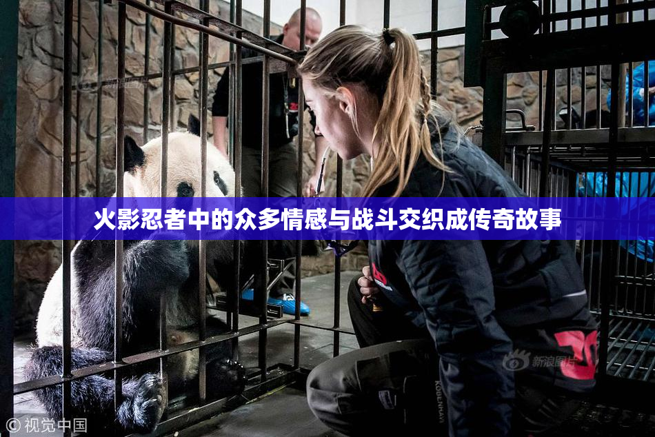 火影忍者中的众多情感与战斗交织成传奇故事