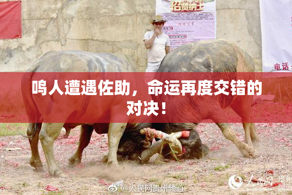 鸣人遭遇佐助，命运再度交错的对决！