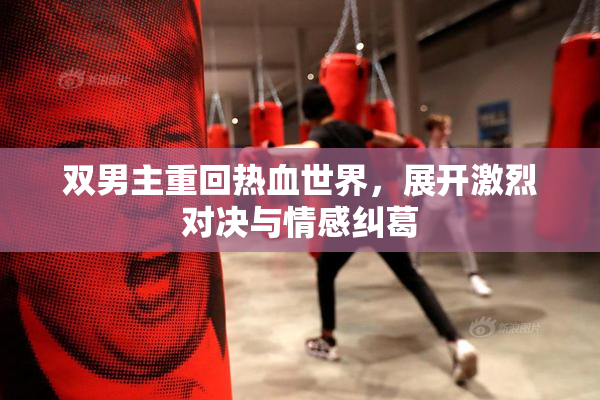 双男主重回热血世界，展开激烈对决与情感纠葛