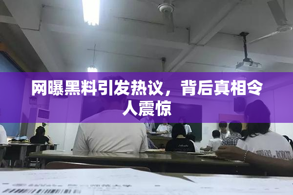 网曝黑料引发热议，背后真相令人震惊