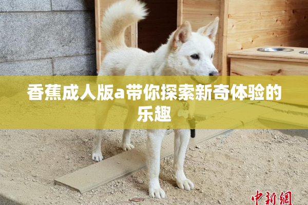香蕉成人版a带你探索新奇体验的乐趣
