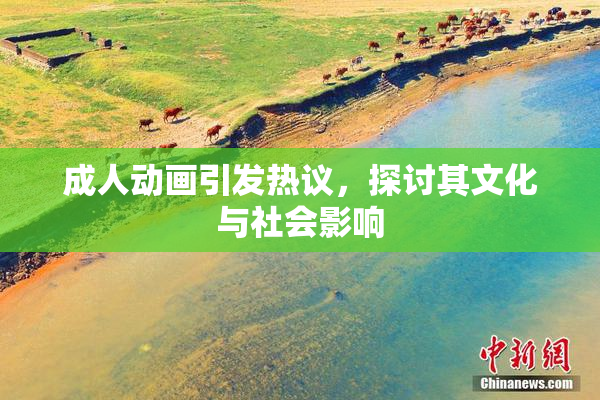 成人动画引发热议，探讨其文化与社会影响
