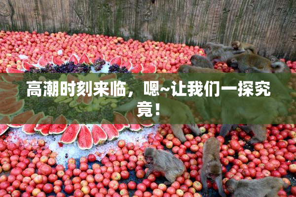 高潮时刻来临，嗯~让我们一探究竟！